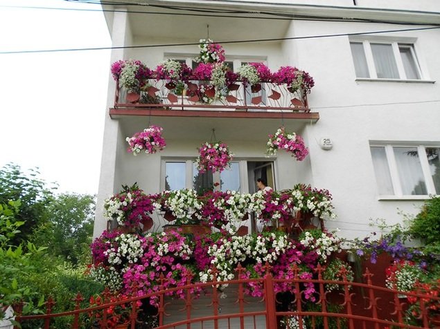 аренда виллы в Черногории