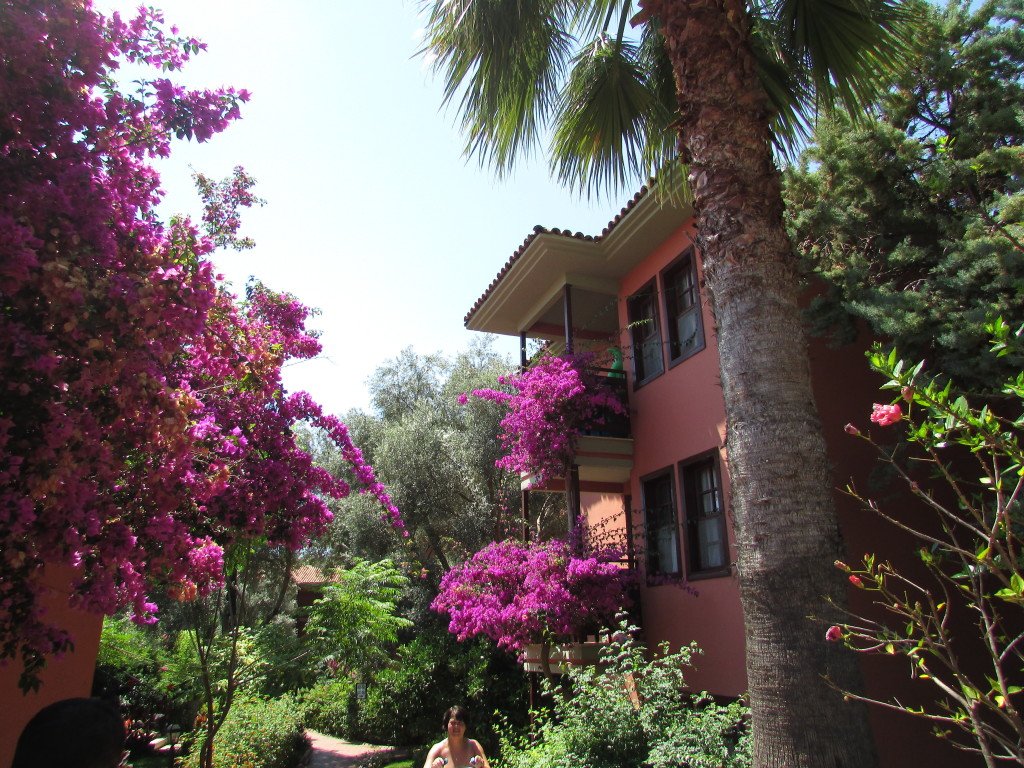 Путевка в Олюдениз из Харькова