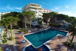 Албания из Харькова