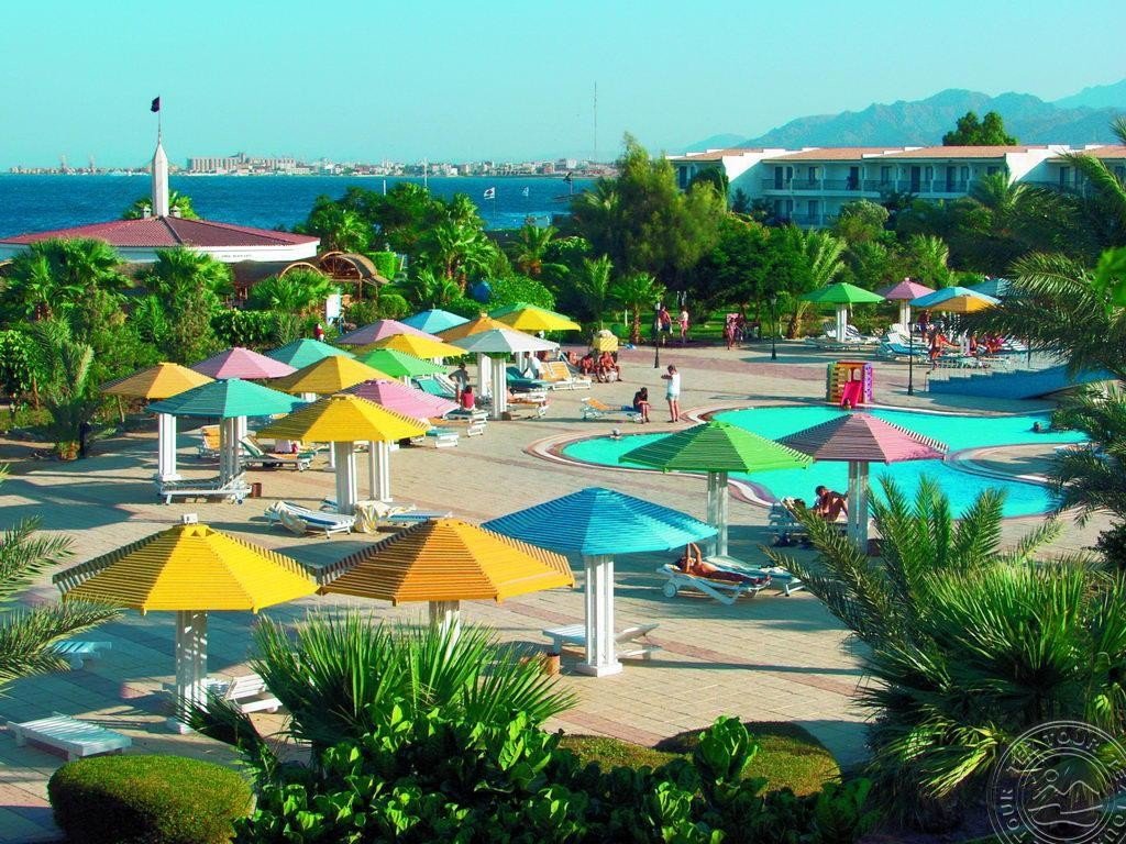 Сафага из Харькова